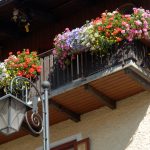 balcony with flowers in containers