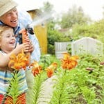 iStock_000036914124Large
