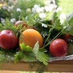 shutterstock_587801[1]