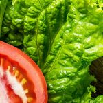 tomato and lettuce