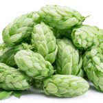 hop cones