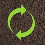 two green arrows on soil