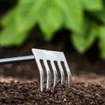 gardening tool in soil